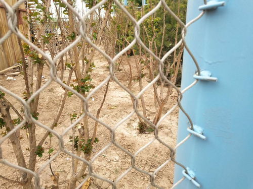 【不锈钢绳网围栏植物园绳网围栏动物园绳网围栏】-